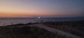 Enlarge photo 293
