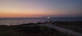 Enlarge photo 295