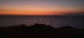 Enlarge photo 305