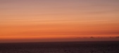 Enlarge photo 313