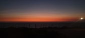 Enlarge photo 336
