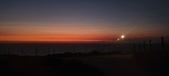Enlarge photo 337