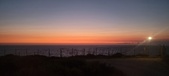 Enlarge photo 339