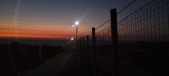 Enlarge photo 351