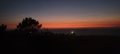 Enlarge photo 355