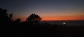 Enlarge photo 356