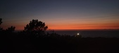 Enlarge photo 359
