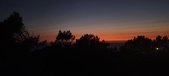 Enlarge photo 369