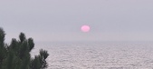 Enlarge photo 441