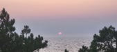 Enlarge photo 442