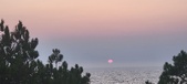 Enlarge photo 443