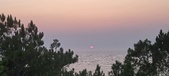 Enlarge photo 444