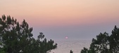Enlarge photo 481