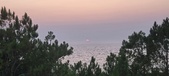 Enlarge photo 482