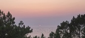 Enlarge photo 483