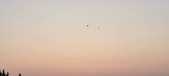 Enlarge photo 480