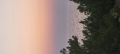 Enlarge photo 486