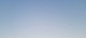 Enlarge photo 487