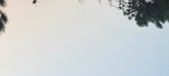 Enlarge photo 447