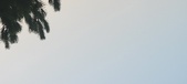 Enlarge photo 448