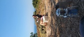 Enlarge photo 478