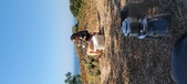 Enlarge photo 477