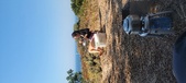 Enlarge photo 476
