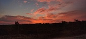 Enlarge photo 449