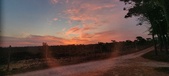 Enlarge photo 450