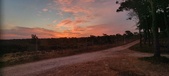 Enlarge photo 451