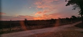 Enlarge photo 452