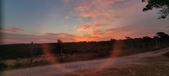 Enlarge photo 453