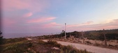 Enlarge photo 454