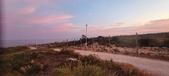 Enlarge photo 455