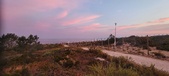 Enlarge photo 456