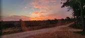 Enlarge photo 457