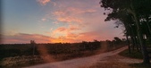 Enlarge photo 458