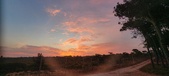 Enlarge photo 459