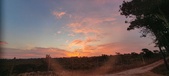 Enlarge photo 460