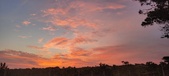 Enlarge photo 461