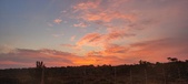 Enlarge photo 462