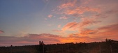 Enlarge photo 463