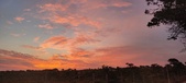 Enlarge photo 464