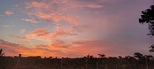Enlarge photo 466