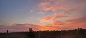 Enlarge photo 467
