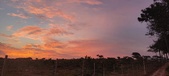 Enlarge photo 468