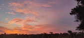 Enlarge photo 469