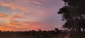 Enlarge photo 470