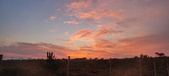 Enlarge photo 471