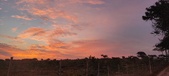 Enlarge photo 472